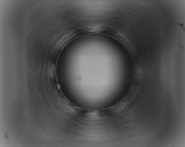 X0000102020325200807181332