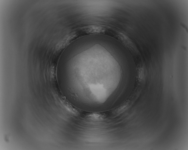 X0000102020326200807181332