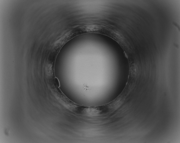 X0000102020327200807181332