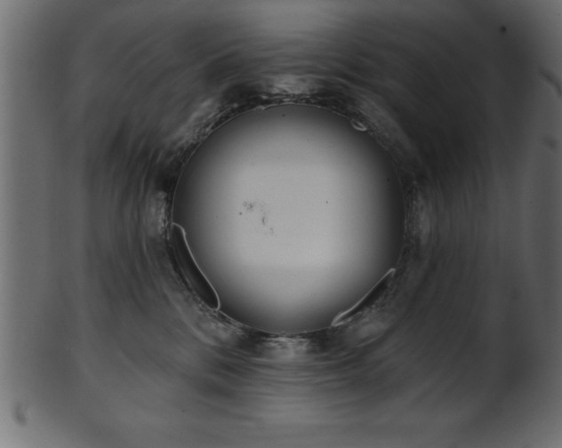 X0000102020328200807181332