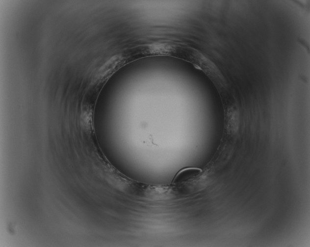X0000102020329200807181332