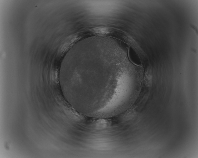 X0000102020330200807181332