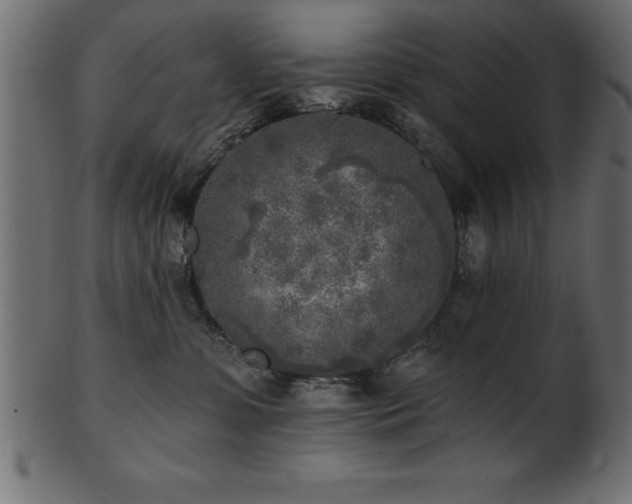 X0000102020331200807181332