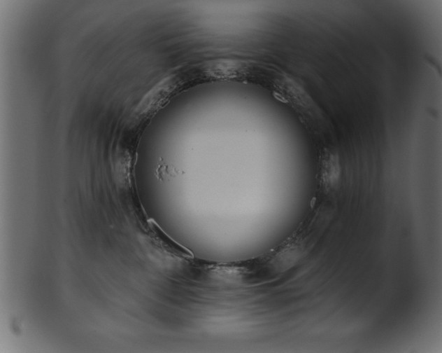 X0000102020332200807181332