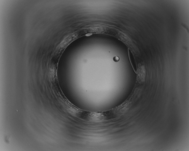 X0000102020333200807181332