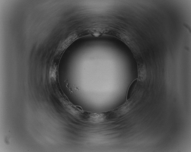 X0000102020334200807181332