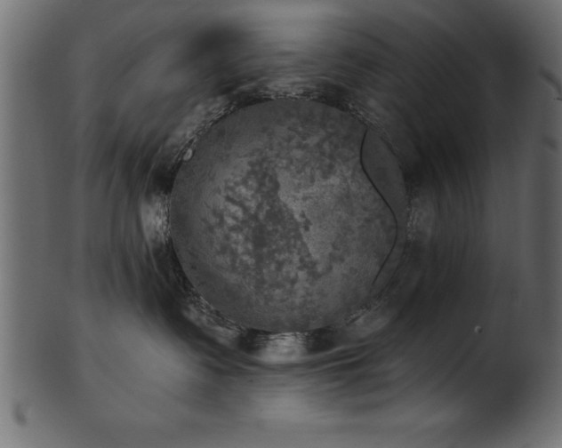 X0000102020335200807181332