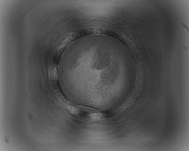 X0000102020336200807181332