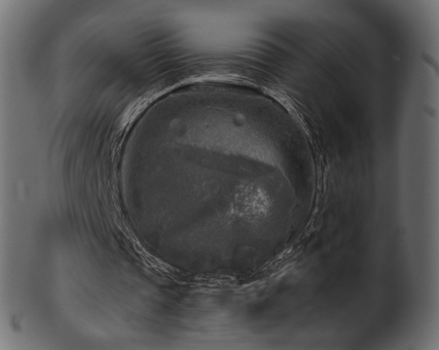X0000102020337200807181331