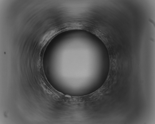 X0000102020338200807181331