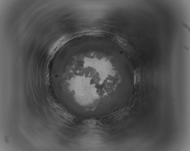 X0000102020339200807181331