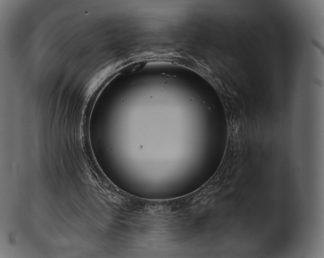 X0000102020340200807181331