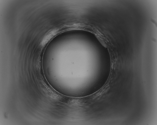 X0000102020341200807181331