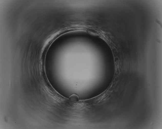 X0000102020342200807181331