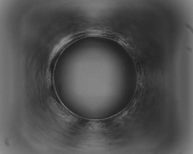 X0000102020343200807181331