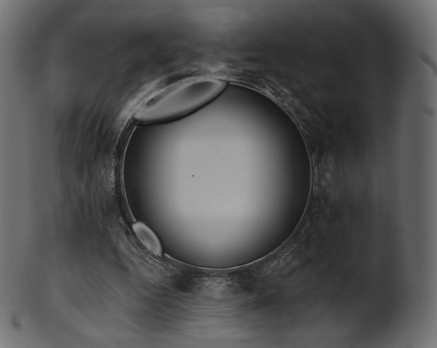 X0000102020344200807181331