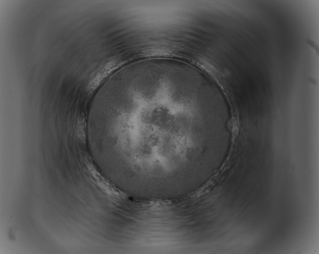 X0000102020345200807181331