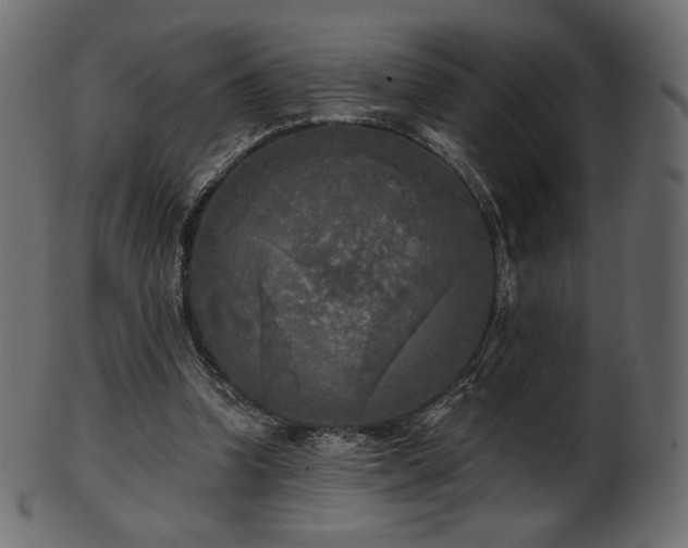 X0000102020346200807181331