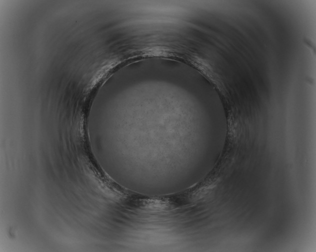 X0000102020347200807181331