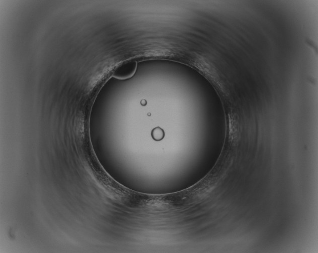 X0000102020348200807181331