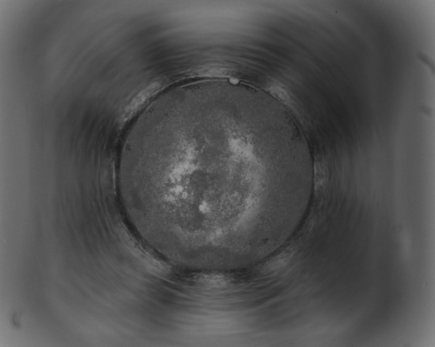 X0000102020349200807181332