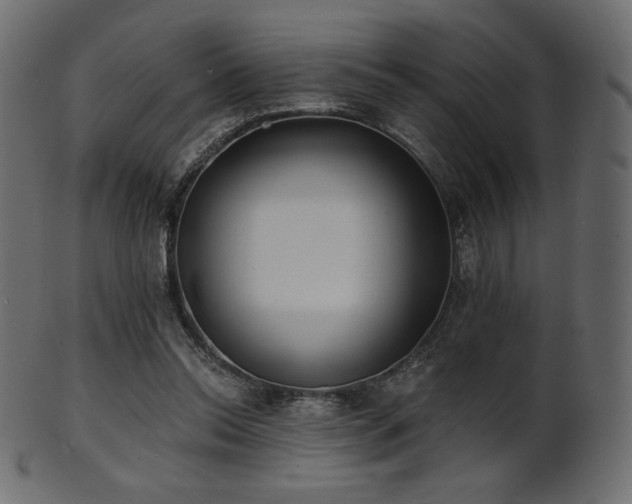 X0000102020350200807181332