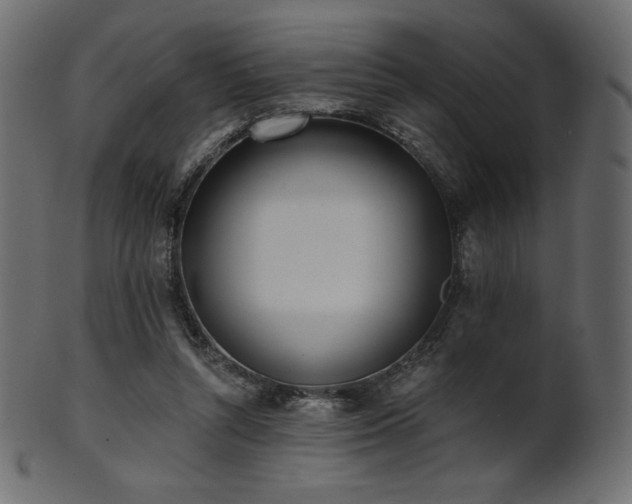 X0000102020352200807181332