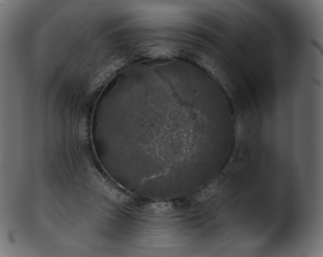 X0000102020353200807181332