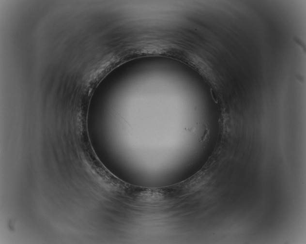 X0000102020354200807181332