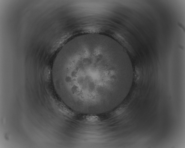 X0000102020355200807181332