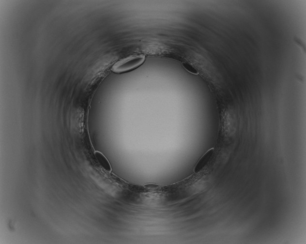X0000102020356200807181332