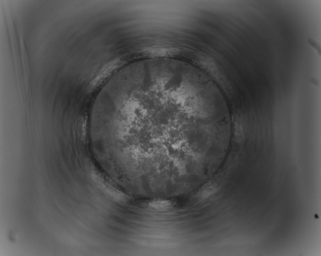 X0000102020357200807181332