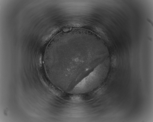 X0000102020358200807181332