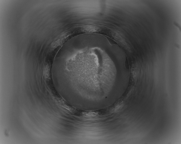 X0000102020359200807181332