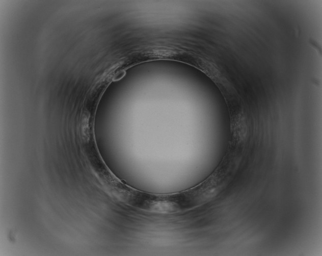 X0000102020360200807181332
