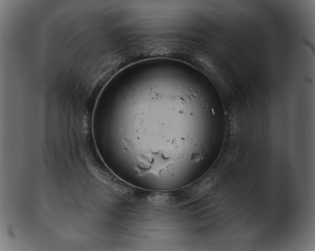 X0000102020362200807181332