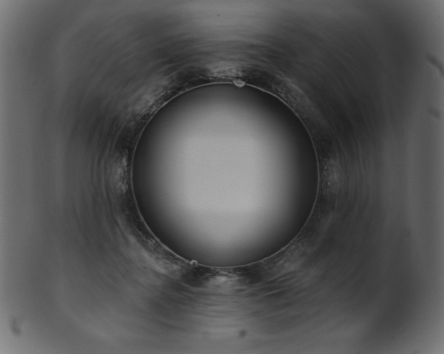X0000102020364200807181332