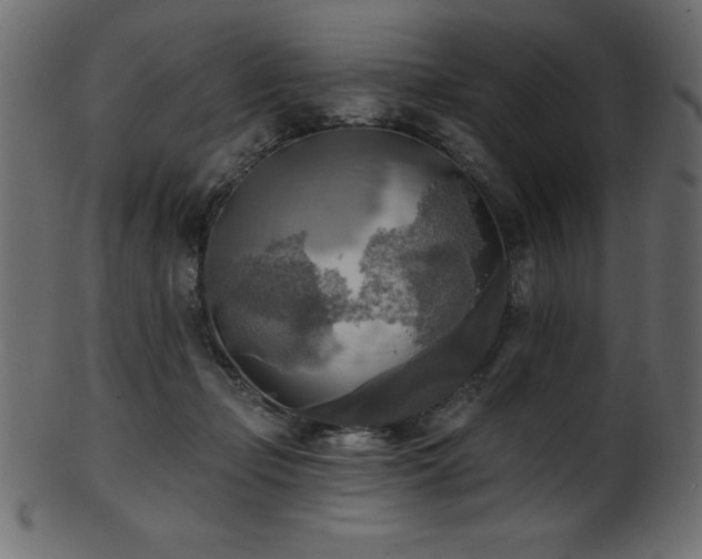X0000102020365200807181332