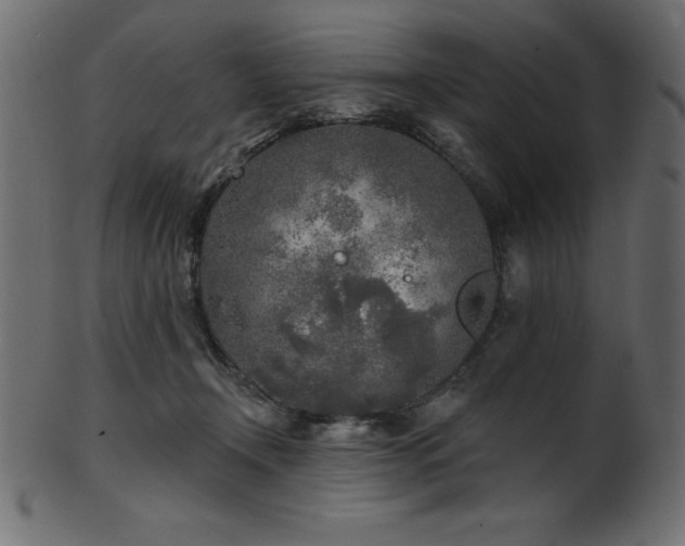 X0000102020366200807181332