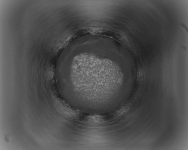 X0000102020367200807181332
