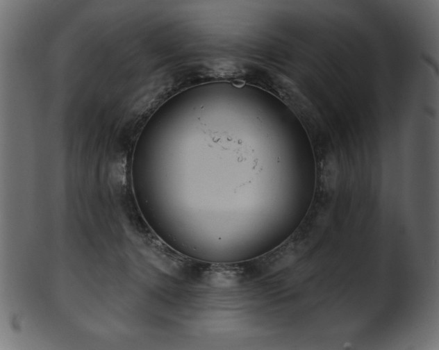 X0000102020368200807181332
