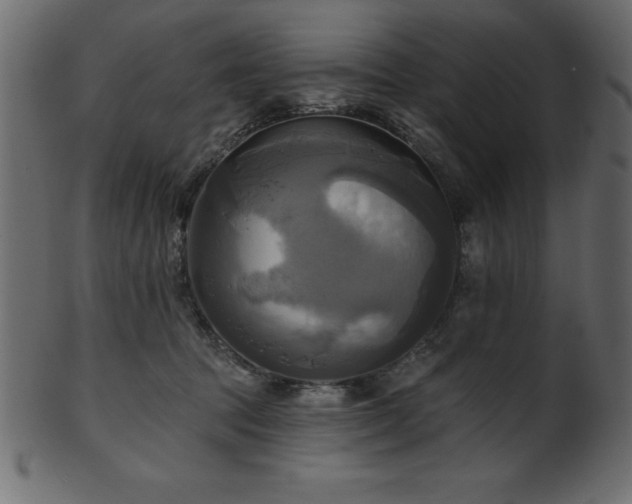 X0000102020369200807181332