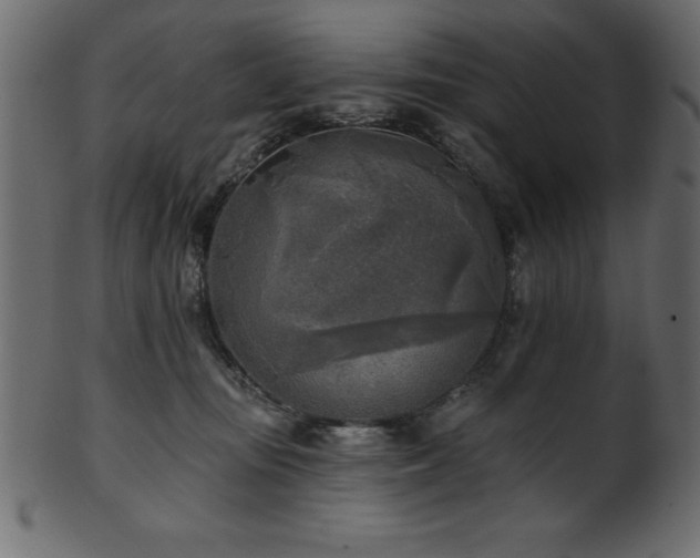X0000102020371200807181332