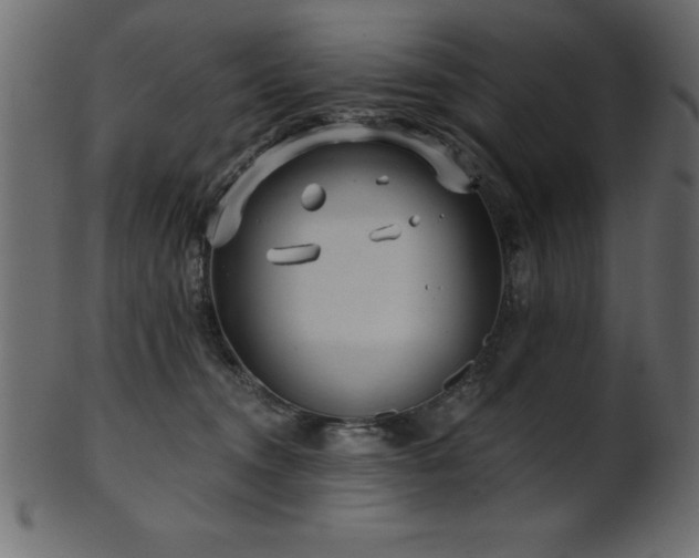 X0000102020372200807181332