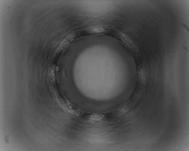 X0000102020373200807181332