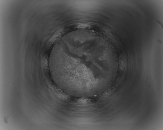 X0000102020375200807181332