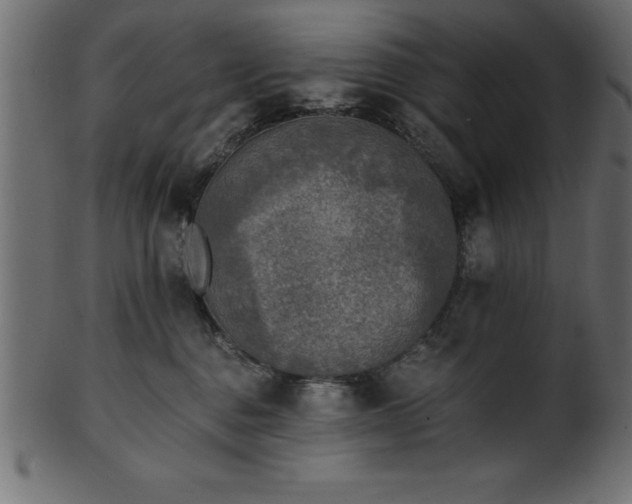 X0000102020376200807181332