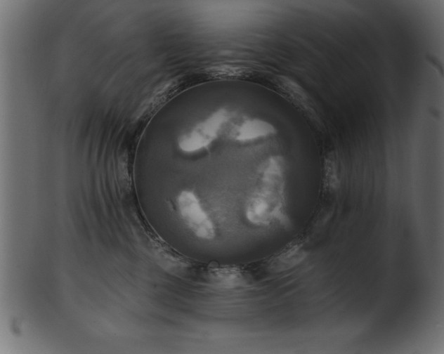 X0000102020377200807181332