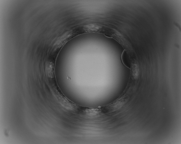 X0000102020378200807181332