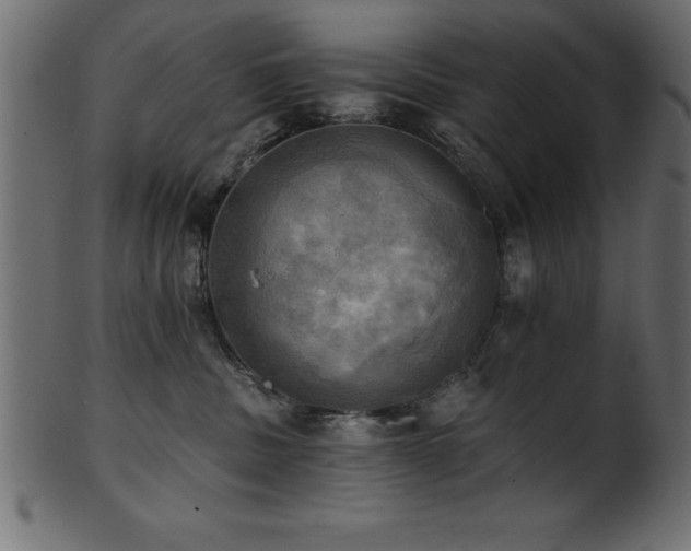 X0000102020379200807181332